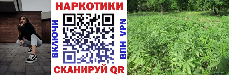 Названия наркотиков Калининград МДМА МАРИХУАНА Мефедрон ГАШ АМФ