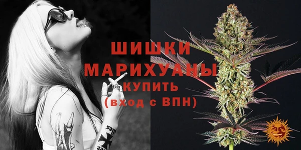 ешки Няндома