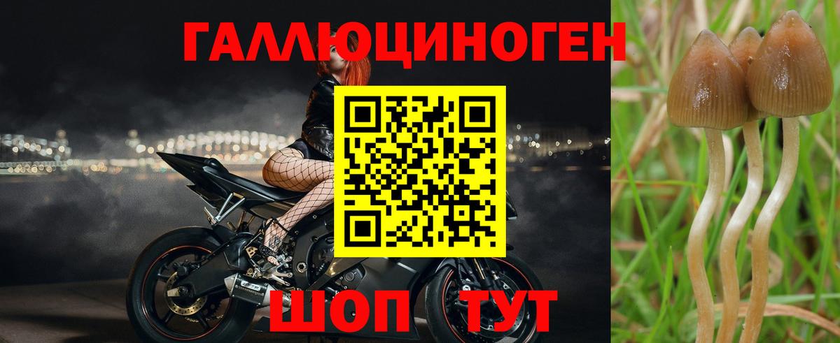 Калининград  Псилоцибиновые грибы ЛСД  как найти наркотики  Вход с VPN 